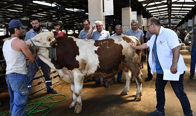 Osmangazi Kurban Bayramı’na hazır