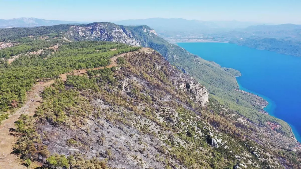 Muğla’da Orman Yangınları: 849 Hektar Kül Oldu