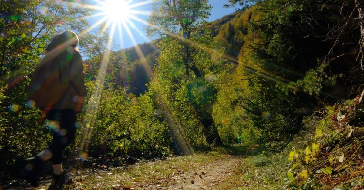 Dikkat! Sabah saatlerinde sis ve pus var! Bugün hava nasıl olacak?