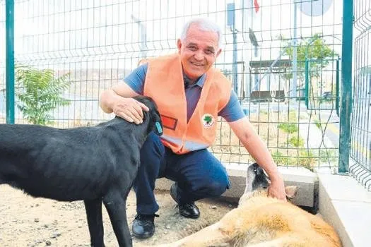 ‘Beni iyi takip edin, sorunu çözeceğim’ dedi, köpekler birbirini yedi!